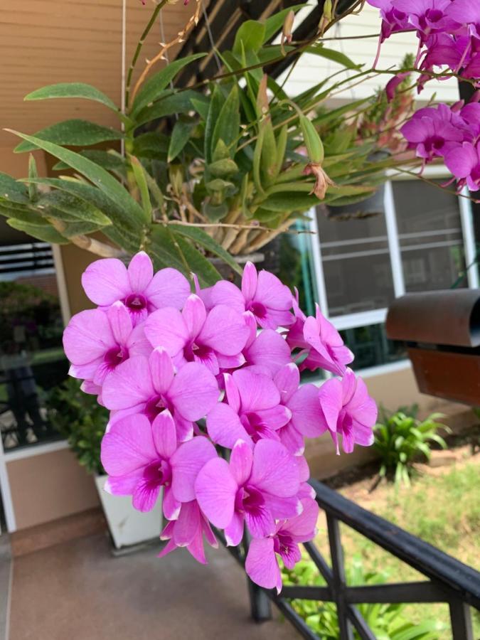 ホテル The Orchid House Nong Kung Yai エクステリア 写真
