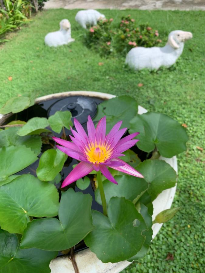 ホテル The Orchid House Nong Kung Yai エクステリア 写真