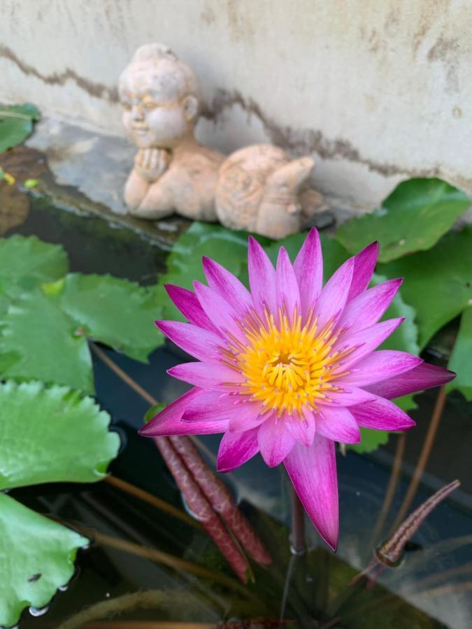 ホテル The Orchid House Nong Kung Yai エクステリア 写真